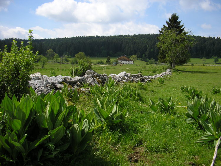 Territoire rural habité, à forte valeur patrimoniale et paysagère, le parc naturel régional du Doubs Horloger s’organise autour d’un projet concerté de développement durable fondé sur la protection et la valorisation du patrimoine. (© Parc du Doubs Horloger)